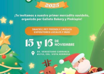 GRAN BAZAR NAVIDEÑO ESTE DOMINGO EN CARRANZA!!!