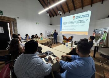 RETIRO MASIVO DE MÁS DE 400 PENDONES NO AUTORIZADOS EN EL PONIENTE DE LA CAPITAL.