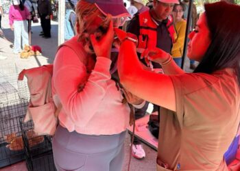 RETIRO MASIVO DE MÁS DE 400 PENDONES NO AUTORIZADOS EN EL PONIENTE DE LA CAPITAL.