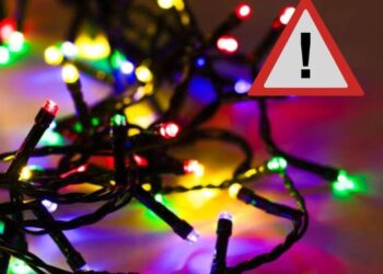 GOBIERNO DE LA CAPITAL ENTREGA EL PREMIO MUNICIPAL AL MÉRITO ECOLÓGICO 2025.