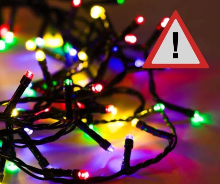 GOBIERNO DE LA CAPITAL ENTREGA EL PREMIO MUNICIPAL AL MÉRITO ECOLÓGICO 2025.