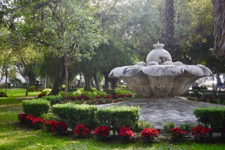 GOBIERNO DE LA CAPITAL ENTREGA EL PREMIO MUNICIPAL AL MÉRITO ECOLÓGICO 2025.