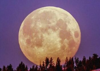 DIF MUNICIPAL CLAUSURA TALLER SOBRE MASCULINIDADES PARA PREVENIR LA VIOLENCIA.