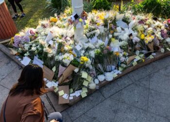 GOBIERNO MUNICIPAL FORTALECE LA ALIMENTACIÓN DE FAMILIAS POTOSINAS CON PROGRAMA “BIENESTAR PARA TU FAMILIA”