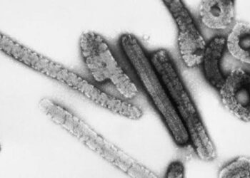 GOBIERNO MUNICIPAL FORTALECE LA ALIMENTACIÓN DE FAMILIAS POTOSINAS CON PROGRAMA “BIENESTAR PARA TU FAMILIA”