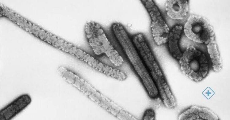 GOBIERNO MUNICIPAL FORTALECE LA ALIMENTACIÓN DE FAMILIAS POTOSINAS CON PROGRAMA “BIENESTAR PARA TU FAMILIA”