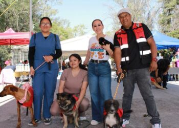 LEY DE INGRESOS 2026 IMPULSARÁ ACCIONES DE BIENESTAR ANIMAL EN LA CAPITAL.