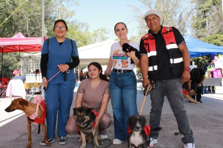 LEY DE INGRESOS 2026 IMPULSARÁ ACCIONES DE BIENESTAR ANIMAL EN LA CAPITAL.