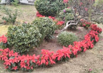 AUMENTO SALARIAL 2026 TENDRÁ AJUSTE DIFERENCIADO EN LA FRONTERA NORTE.