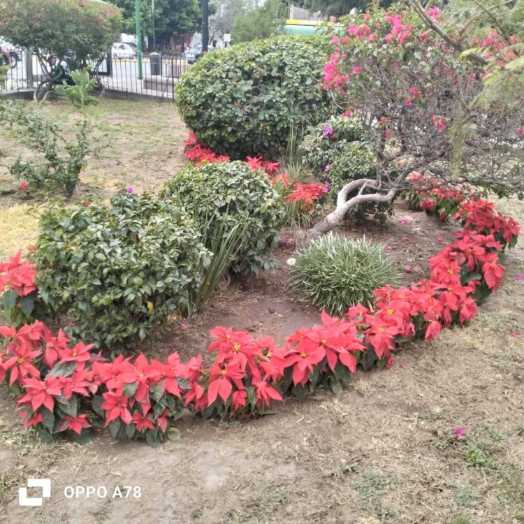 AUMENTO SALARIAL 2026 TENDRÁ AJUSTE DIFERENCIADO EN LA FRONTERA NORTE.