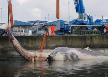 PROTECCIÓN CIVIL REFUERZA MEDIDAS PARA UN USO SEGURO DE PIROTECNIA EN FIESTAS DECEMBRINAS.
