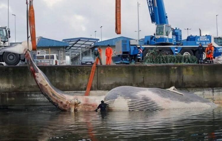 PROTECCIÓN CIVIL REFUERZA MEDIDAS PARA UN USO SEGURO DE PIROTECNIA EN FIESTAS DECEMBRINAS.