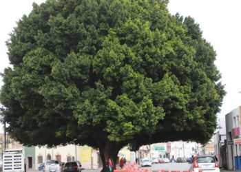 CIERRE VIAL Y OPERATIVO DE EMERGENCIA EN LA ZONA CENTRO POR INCENDIO.