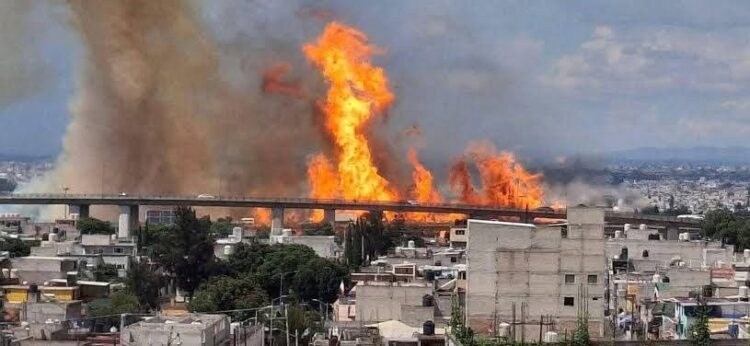 GOBIERNO MUNICIPAL DE SLP ES RECONOCIDO POR SU COMPROMISO CON LA SOSTENIBILIDAD.