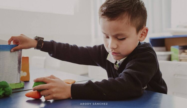 ASEGURAN MÁS DE 22 KILOS DE PIROTECNIA ILEGAL EN MERCADO DE BOCAS.