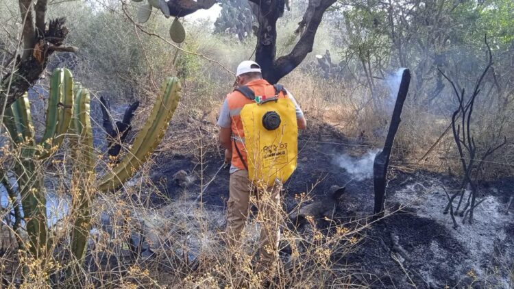 ATENCIÓN OPORTUNA PREVIENE INCENDIOS EN BOCAS.