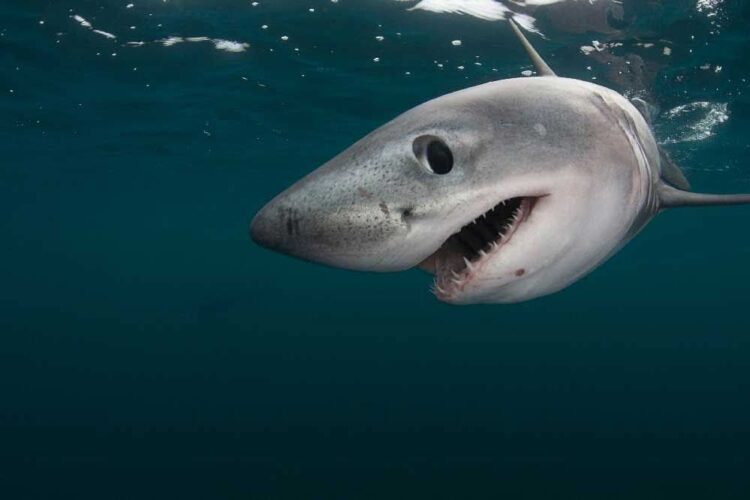 INTERAPAS PROMUEVE EL CUIDADO DEL AGUA EN ESCUELAS DURANTE 2025.