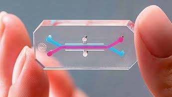 CONCLUYE REHABILITACIÓN DE LA CALLE DE JULIÁN DE LOS REYES EN EN CENTRO HISTÓRICO DE SLP CAPITAL.