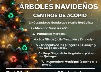 RECICLA TU ÁRBOL NAVIDEÑO Y CONTRIBUYE AL CUIDADO DEL MEDIO AMBIENTE.