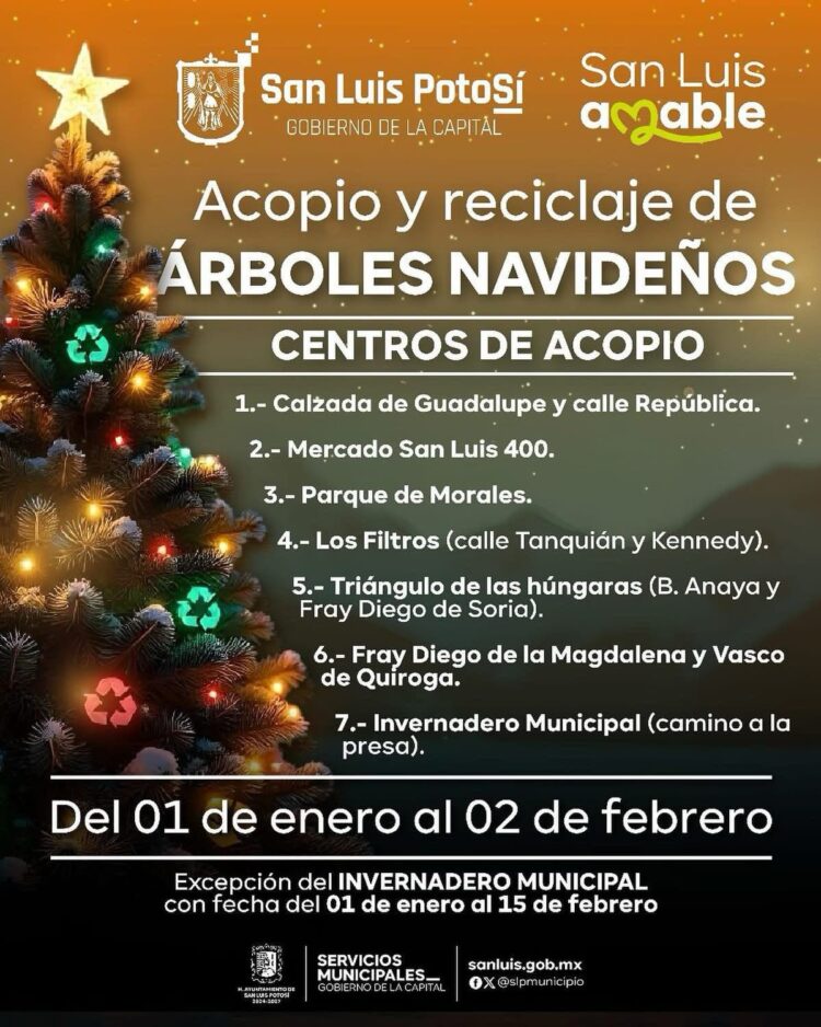 RECICLA TU ÁRBOL NAVIDEÑO Y CONTRIBUYE AL CUIDADO DEL MEDIO AMBIENTE.