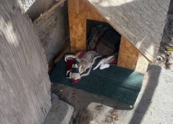 GOBIERNO MUNICIPAL Y ASOCIACIONES UNEN ESFUERZOS POR EL BIENESTAR DE PERRITOS COMUNITARIOS.