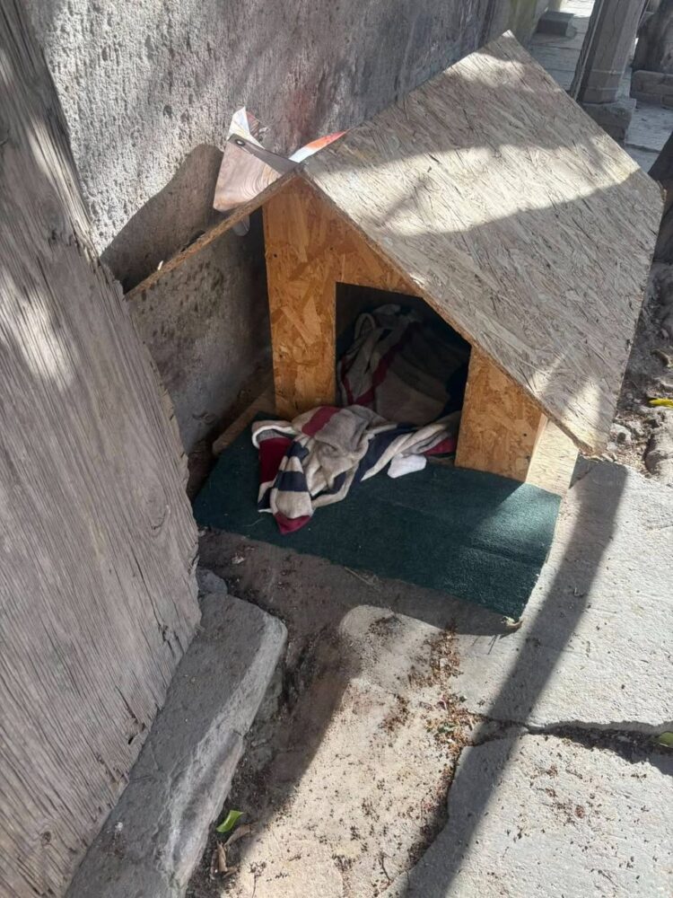 GOBIERNO MUNICIPAL Y ASOCIACIONES UNEN ESFUERZOS POR EL BIENESTAR DE PERRITOS COMUNITARIOS.