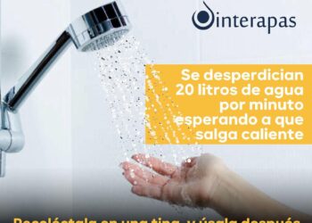 1 DE FEBRERO DÍA NACIONAL DEL AJOLOTE.