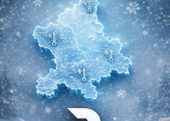 1 DE FEBRERO DÍA NACIONAL DEL AJOLOTE.