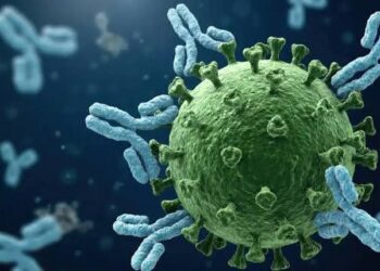 «DÍA DE LA CANDELARIA» UNA TRADICIÓN QUE UNE FE, FAMILIA Y SABOR EN MÉXICO.