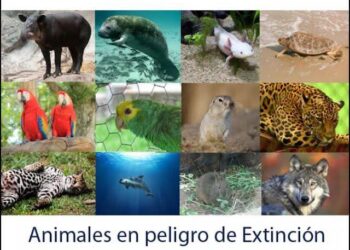 FACULTAD DE ESTOMATOLOGÍA DE LA UASLP INICIA ACTIVIDADES CELEBRA SU 80 ANIVERSARIO.