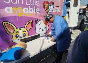 HOY SE CELEBRA EL DÍA DEL ABRAZO.