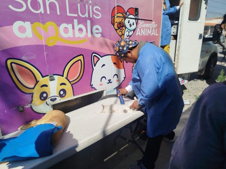 HOY SE CELEBRA EL DÍA DEL ABRAZO.