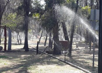 BALACERA EN LA MADRUGADA DEJA UNA MUJER SIN VIDA CERCA DEL ESTADIO.