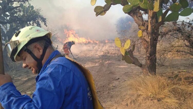 IGLESIA CATÓLICA INICIA LA CUARESMA CON EL MIÉRCOLES DE CENIZA.