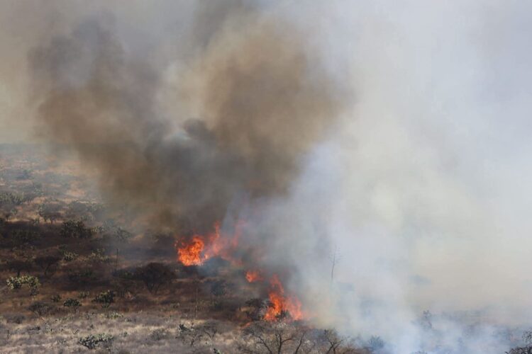 ¿SABÍAS QUE EL 19 DE FEBRERO DE 1913 HUBO UN PRESIDENTE POR 45 MINUTOS?