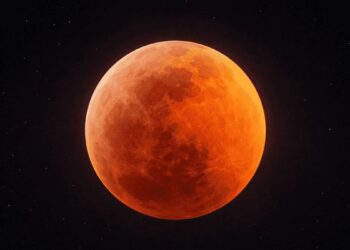 FAMILIAS POTOSINAS DUSFRUTARON DE FUNCIÓN DE CINE EN DELEGACIÓN DE LA PILA.