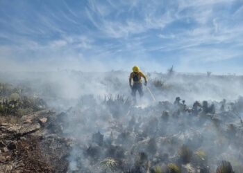 FAMILIAS POTOSINAS DUSFRUTARON DE FUNCIÓN DE CINE EN DELEGACIÓN DE LA PILA.