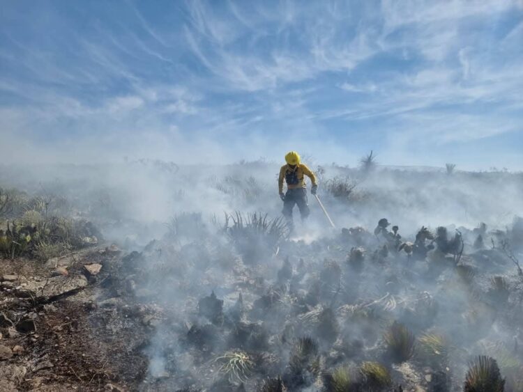 FAMILIAS POTOSINAS DUSFRUTARON DE FUNCIÓN DE CINE EN DELEGACIÓN DE LA PILA.