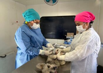 RECAPTURAN A 4 DE LOS 23 REOS QUE ESCAPARON DE PRISIÓN LUEGO DE LOS OPERATIVOS PARA LA DETENCIÓN DE “EL MENCHO”.