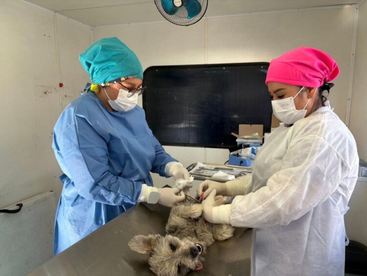 RECAPTURAN A 4 DE LOS 23 REOS QUE ESCAPARON DE PRISIÓN LUEGO DE LOS OPERATIVOS PARA LA DETENCIÓN DE “EL MENCHO”.