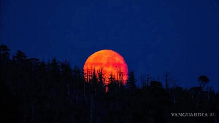 TODO LISTO PARA LA FERIA DEL CABRITO 2026 EN ESTACIÓN CATORCE.