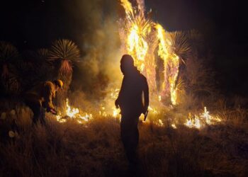 UASLP INVITA A MUJERES POTOSINAS A UNISE A SU CAMPAÑA DE VPH Y PAPANICOLAOU.