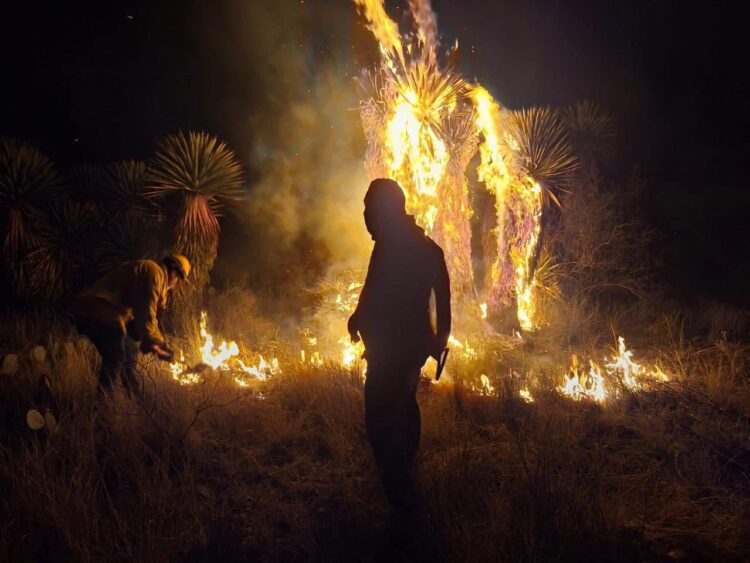 UASLP INVITA A MUJERES POTOSINAS A UNISE A SU CAMPAÑA DE VPH Y PAPANICOLAOU.