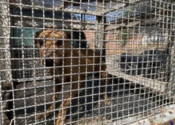 UASLP INVITA A MUJERES POTOSINAS A UNISE A SU CAMPAÑA DE VPH Y PAPANICOLAOU.