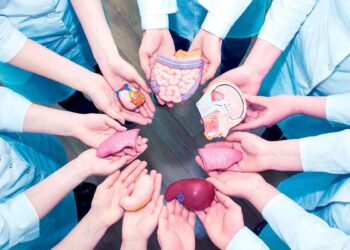 NUEVAS ESTRATEGIAS PARA TRASLADO SEGURO DE ÓRGANOS PARA TRASPLANTES.