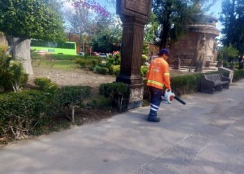 NUEVAS ESTRATEGIAS PARA TRASLADO SEGURO DE ÓRGANOS PARA TRASPLANTES.