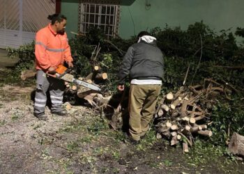 ATIENDEN CAÍDA DE ARBOLES TRAS LLUVIAS