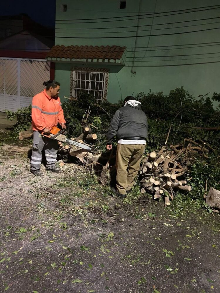 ATIENDEN CAÍDA DE ARBOLES TRAS LLUVIAS