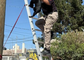 ALERTA SI VIAJAS EN AVIÓN HOY DESDE O HACIA EL AEROPUERTO DE LA CDMX, HABRÁ BLOQUEOS.