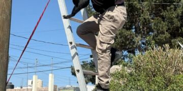 ALERTA SI VIAJAS EN AVIÓN HOY DESDE O HACIA EL AEROPUERTO DE LA CDMX, HABRÁ BLOQUEOS.